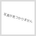 ☆アジア☆氷結界の紋章【シークレットパラレル】{アジアTW01-JP042}《魔法》