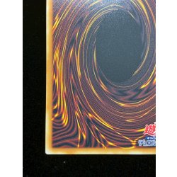 画像10: ☆アジア☆デコードトーカーインテグレーション【グランドマスター】{アジアLOCH-JP016}《リンク》