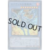 〔状態B〕ネフティスの蒼凰神【スーパー】{DBHS-JP006}《儀式》