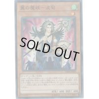 〔状態B〕翼の魔妖波旬【スーパー】{DBHS-JP029}《モンスター》