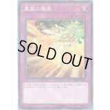 鳳翼の爆風【ノーマルパラレル】{DBHS-JP045}《罠》