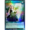 〔状態B〕天の加護【スーパー】{RD/MAX1-JP050}《RD魔法》