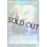 天の加護【スーパー】{RD/MAX1-JP050}《RD魔法》