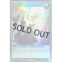 天の加護【スーパー】{RD/MAX1-JP050}《RD魔法》