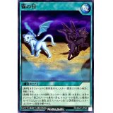 〔状態A-〕猫の目【ノーマル】{RD/MAX1-JP028}《RD魔法》