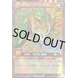 〔状態B〕天帝龍樹ユグドラゴ[R]【ラッシュレア】{RD/MAX1-JP012}《RDモンスター》