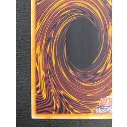 画像10: デコードトーカーインテグレーション【グランドマスター】{LOCH-JP016}《リンク》