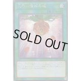 ☆アジア☆天啓の薔薇の鐘【シークレット】{アジア19PP-JP015}《魔法》