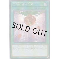 〔状態B〕☆アジア☆天啓の薔薇の鐘【シークレット】{アジア19PP-JP015}《魔法》