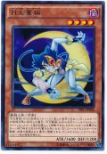 月光蒼猫【レア】{SHVI-JP008}《モンスター》