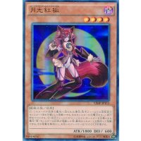 〔状態A-〕月光紅狐【ノーマルパラレル】{DBLE-JP013}《モンスター》