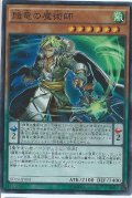 〔状態A-〕賤竜の魔術師【スーパー】{SD29-JP004}《モンスター》