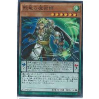 〔状態A-〕賤竜の魔術師【スーパー】{SD29-JP004}《モンスター》