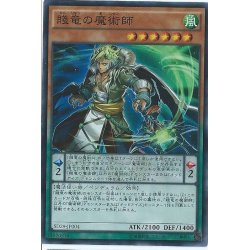 画像1: 〔状態A-〕賤竜の魔術師【スーパー】{SD29-JP004}《モンスター》