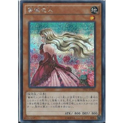 〔状態B〕薔薇恋人【シークレット】{PP17-JP003}《モンスター》