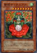 〔状態B〕椿姫ティタニアル【スーパー】{CSOC-JP029}《モンスター》