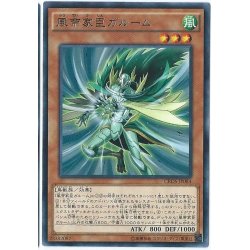 画像1: 風帝家臣ガルーム【ノーマル】{SR01-JP015}《モンスター》