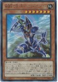 破壊剣の使い手バスターブレイダー【シークレット】{BOSH-JP018}《モンスター》
