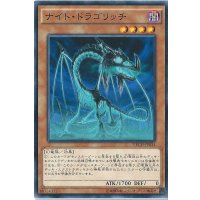 ナイトドラゴリッチ【ノーマル】{NECH-JP034}《モンスター》