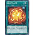 超栄養太陽【レア】{CRMS-JP058}《魔法》