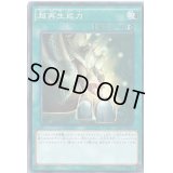 超再生能力【ノーマル】{SC-47}《魔法》