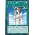 〔状態B〕禁じられた聖杯【ゴールドシークレット】{GS05-JP017}《魔法》