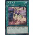 猛毒の風【ノーマル】{PHSW-JP062}《魔法》
