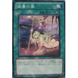 猛毒の風【ノーマル】{PHSW-JP062}《魔法》