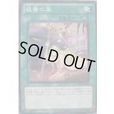 猛毒の風【ノーマル】{PHSW-JP062}《魔法》