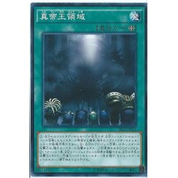 画像1: 〔状態A-〕真帝王領域【ノーマル】{CROS-JP086}《魔法》