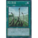 〔状態A-〕竜の霊廟【スーパー】{SD25-JP020}《魔法》