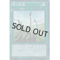 〔状態B〕竜の霊廟【スーパー】{SD25-JP020}《魔法》