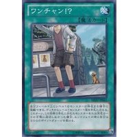 〔状態B〕ワンチャン!?【ノーマル】{REDU-JP062}《魔法》