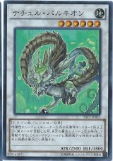 〔状態C〕ナチュルパルキオン【ウルトラ】{DT05-JP038}《シンクロ》