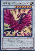 ☆SALE☆月華竜ブラックローズ【ウルトラ】{YF07-JP001}《シンクロ》