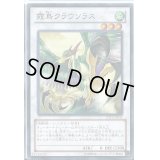 〔状態B〕霞鳥クラウソラス【ノーマル】{JOTL-JP043}《シンクロ》
