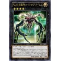 〔状態B〕No69紋章神コートオブアームズ【ウルトラ】{VB15-JP001}《エクシーズ》