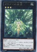 〔状態B〕メリアスの木霊【レア】{SHSP-JP055}《エクシーズ》