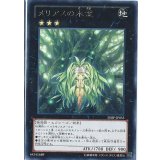 〔状態A-〕メリアスの木霊【レア】{SHSP-JP055}《エクシーズ》