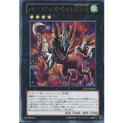 〔状態B〕ハーピィズペット幻竜【レア】{LTGY-JP055}《エクシーズ》