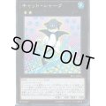 〔状態B〕キャットシャーク【ノーマル】{PP17-JP016}《エクシーズ》