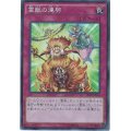 〔状態B〕霊獣の連契【スーパー】{SPTR-JP032}《罠》