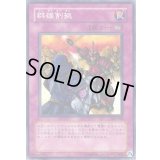 群雄割拠【ノーマル】{302-048}《罠》