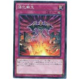 強化蘇生【ノーマル】{SD32-JP034}《罠》