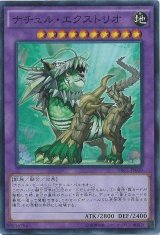 〔状態B〕ナチュルエクストリオ【ウルトラ】{DTC3-JP055}《融合》