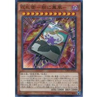 花札衛桐に鳳凰【ノーマル】{CPF1-JP038}《モンスター》