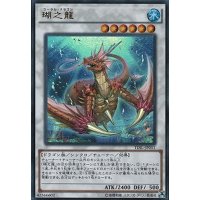 〔状態B〕瑚之龍【シークレット】{TDIL-JP051}《シンクロ》