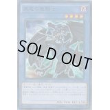 〔状態B〕黒竜の聖騎士【コレクターズ】{CPD1-JP018}《儀式》