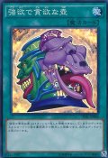 〔状態B〕強欲で貪欲な壺【スーパー】{TDIL-JP066}《魔法》