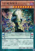 DD魔導賢者トーマス【レア】{TDIL-JP010}《モンスター》